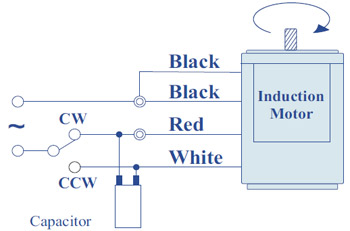 Standard Single Phase Motor