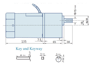 AC Geared Motor With Lead wires