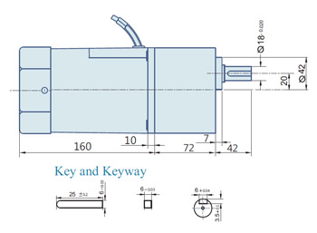 AC Geared Motor With Lead wires