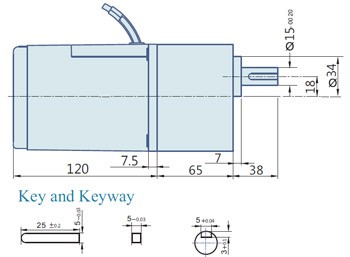 AC Geared Motor With Lead wires