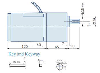 AC Geared Motor With Lead wires