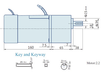 AC Geared Motor With Lead wires