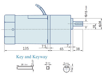 AC Geared Motor With Lead wires