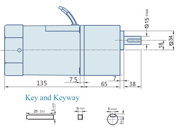 AC Geared Motor With Lead wires