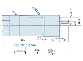 AC Geared Motor With Lead wires