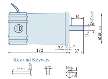 Round AC Induction Motor With Terminal Box