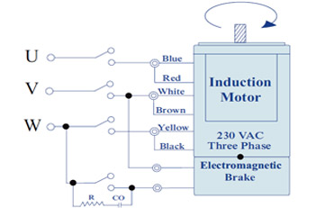 Standard Single Phase Motor