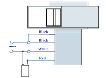 Round AC Induction Motor With Terminal Box