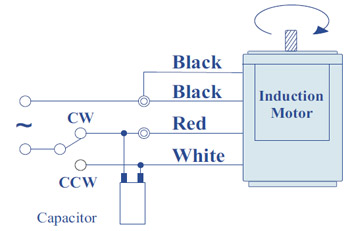 Standard Single Phase Motor