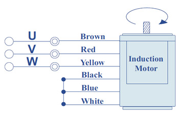 Standard Single Phase Motor