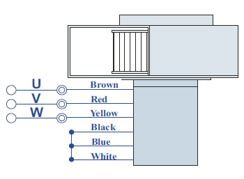 Round AC Induction Motor With Terminal Box